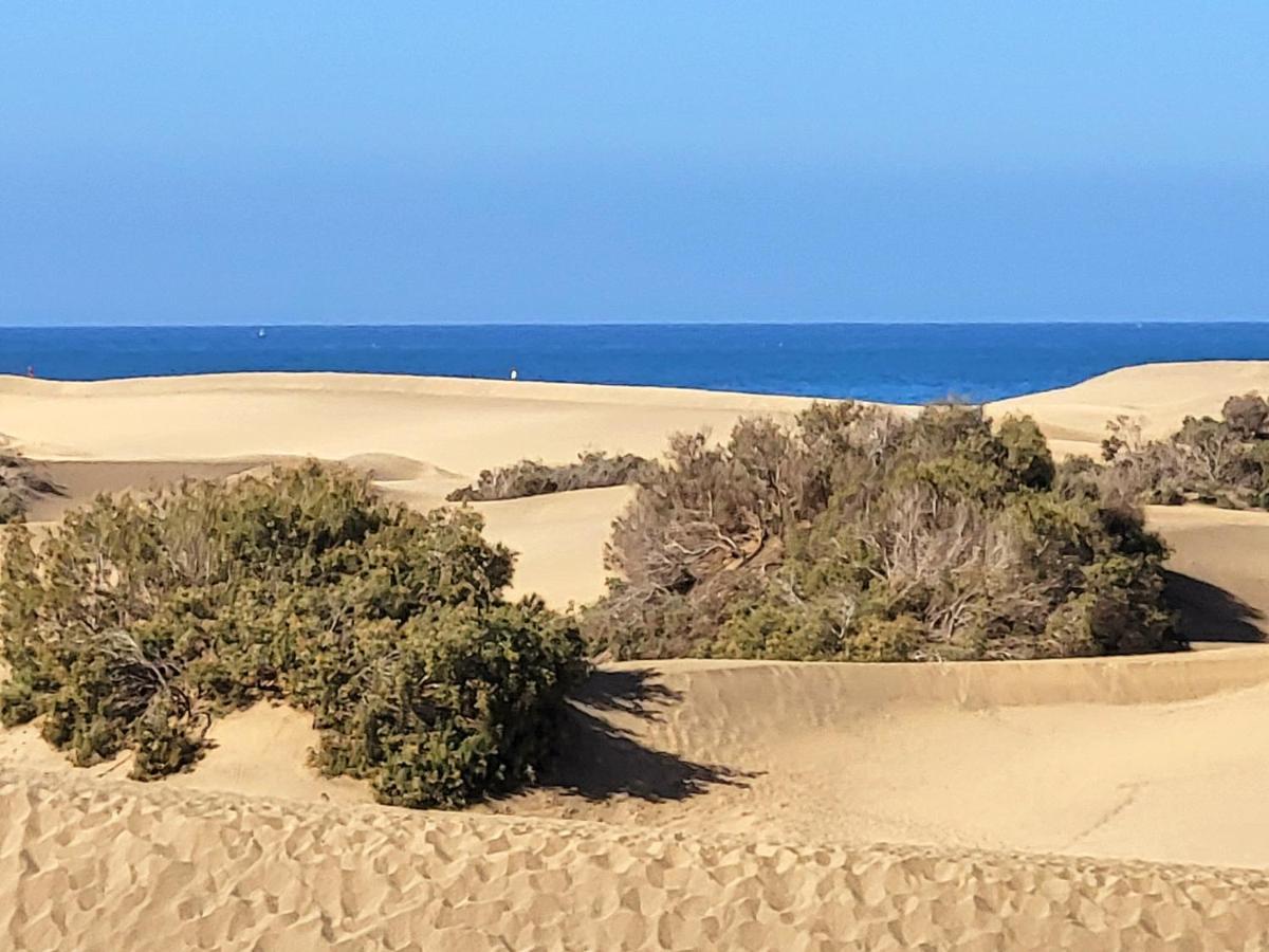شقة Taidia Tropical ماسبالوماس المظهر الخارجي الصورة