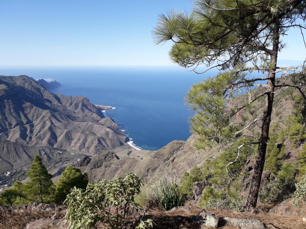 شقة Taidia Tropical ماسبالوماس المظهر الخارجي الصورة