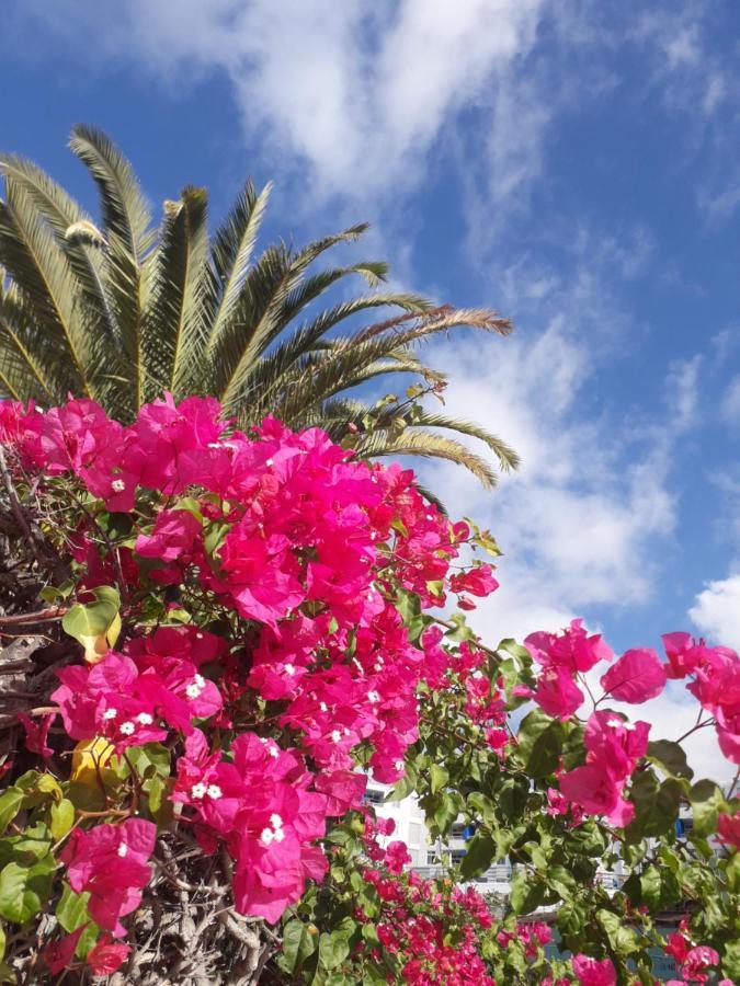 شقة Taidia Tropical ماسبالوماس المظهر الخارجي الصورة